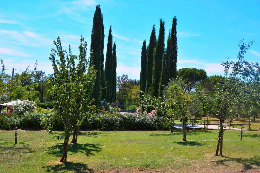 Agriturismo L'Aquilone Мальяно-ин-Тоскана Экстерьер фото